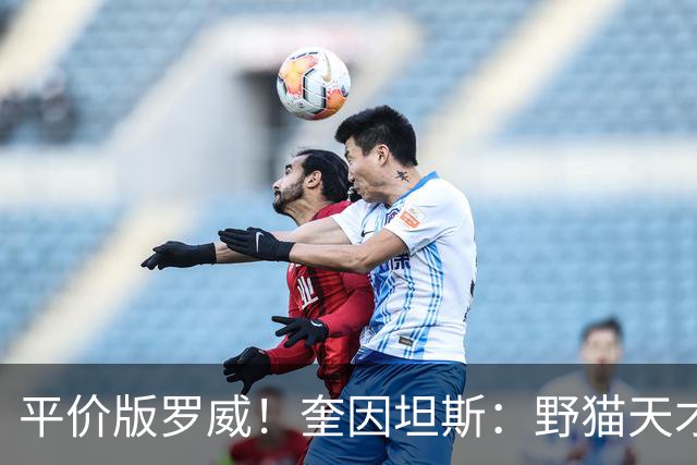 平价版罗威！奎因坦斯：野猫天才内线 存伤病隐患 罚球致敬米切罗